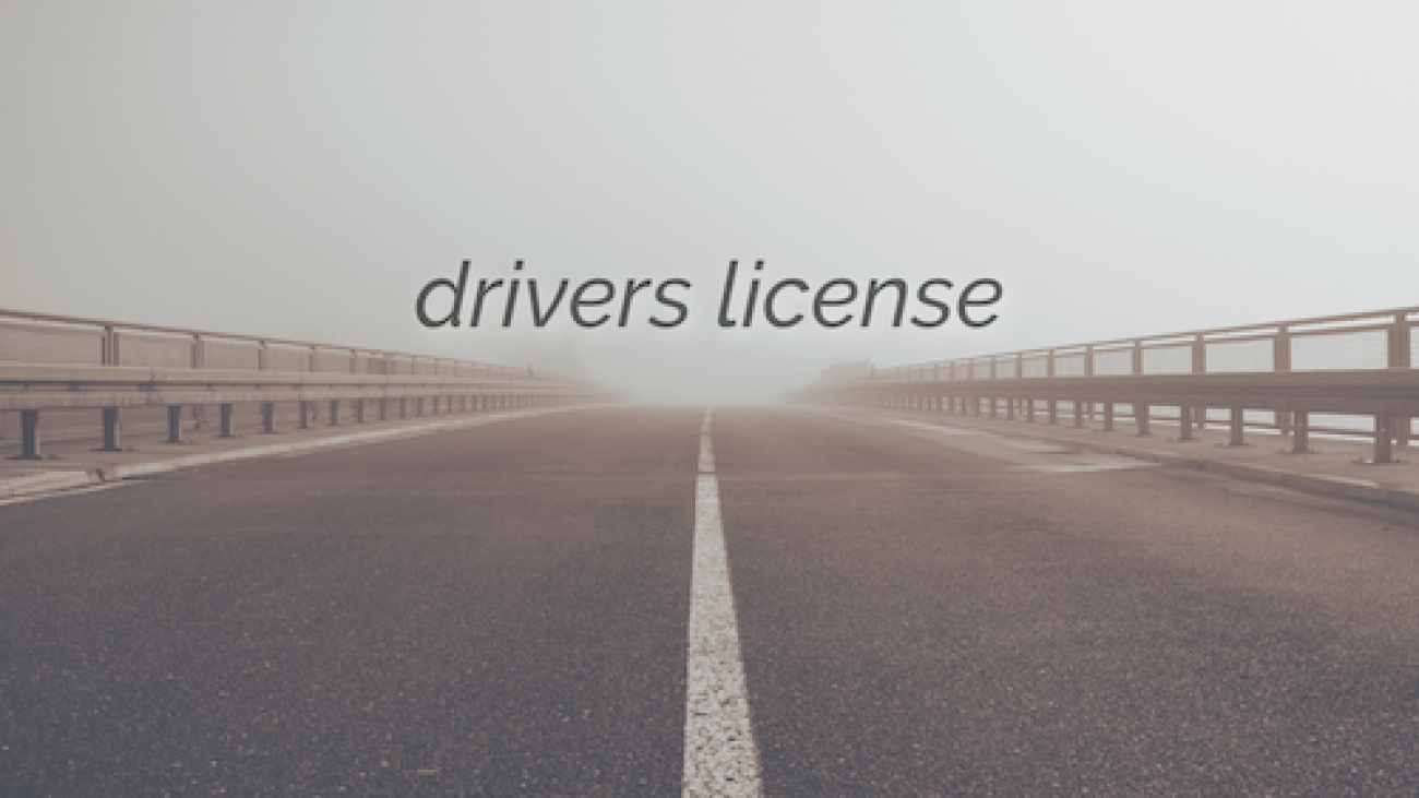 Drivers License High Resolution